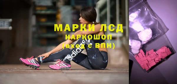 spice Бикин