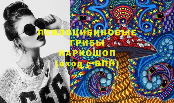 спиды Новодвинск
