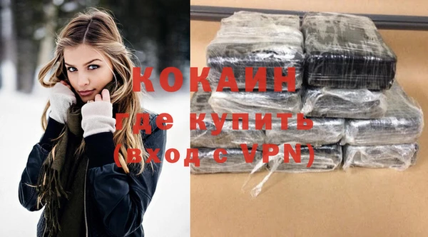 прущие крисы Новозыбков