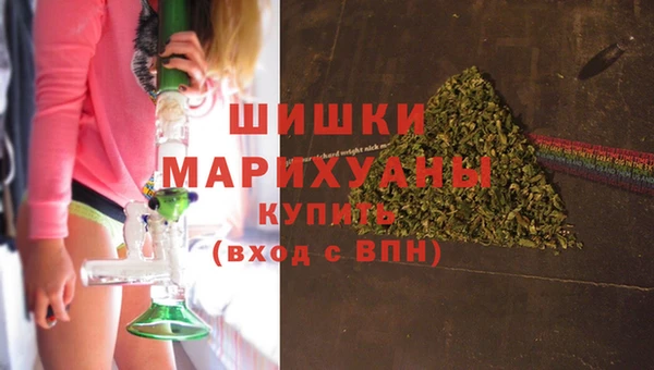прущие крисы Новозыбков