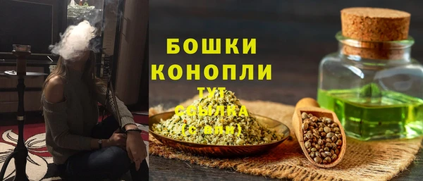 прущие крисы Новозыбков