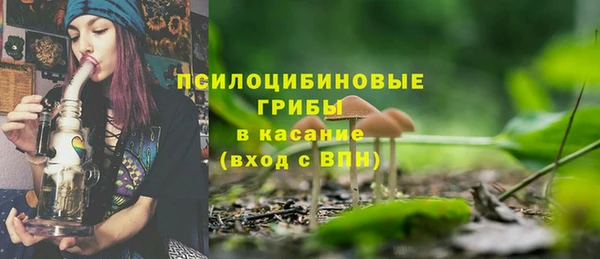 прущие крисы Новозыбков